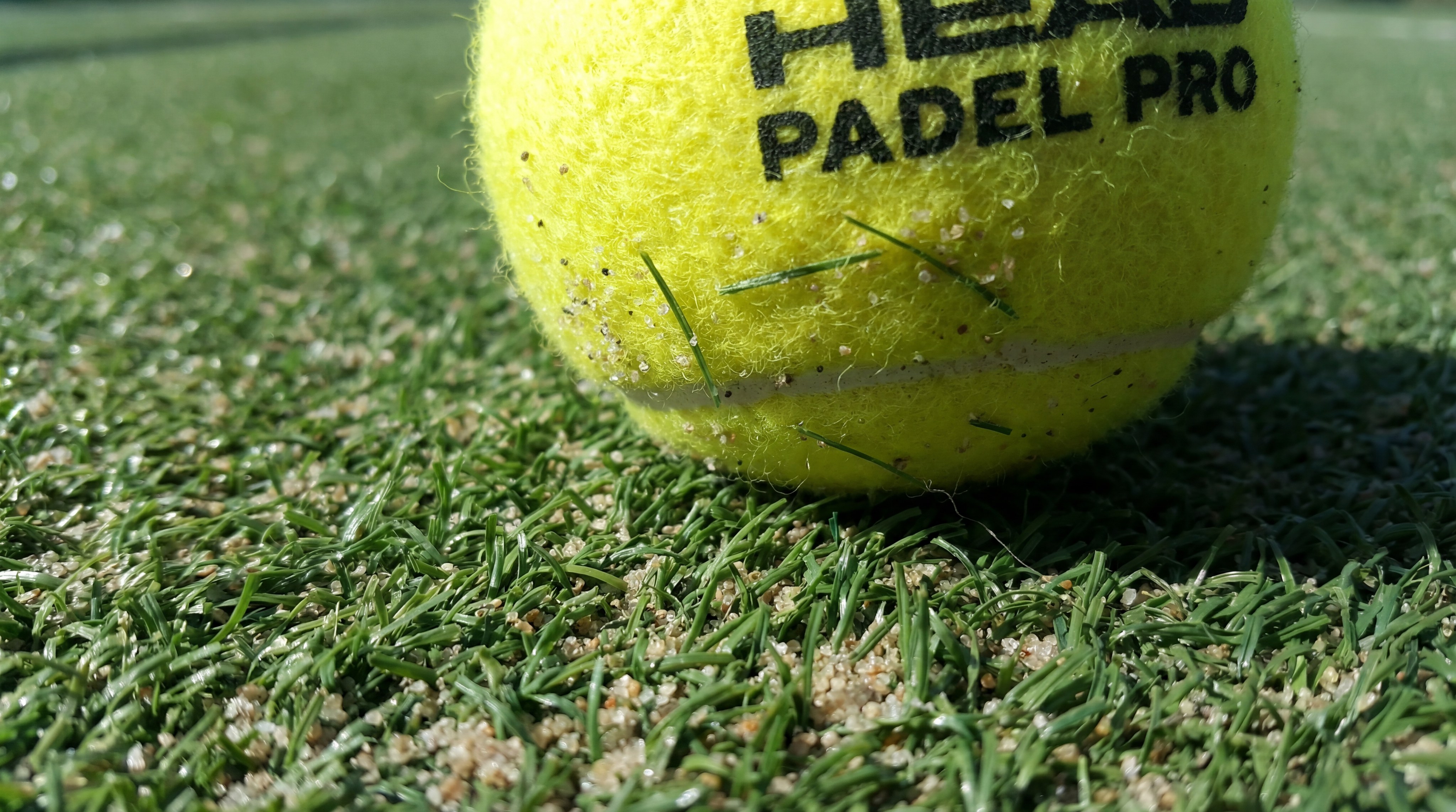 Ball on Synthetic Monofilament Turf
