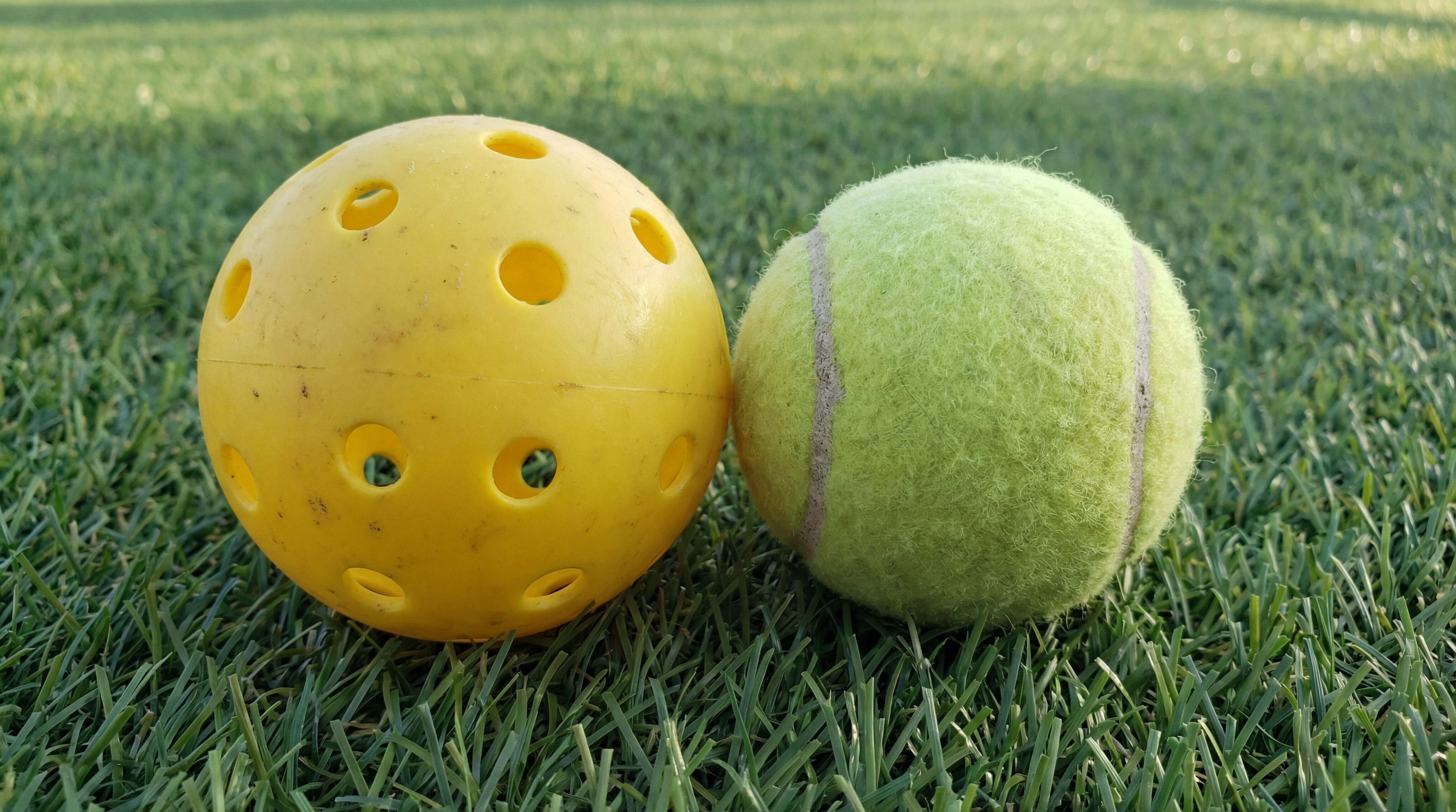 pickleball padel ball closeup index 5