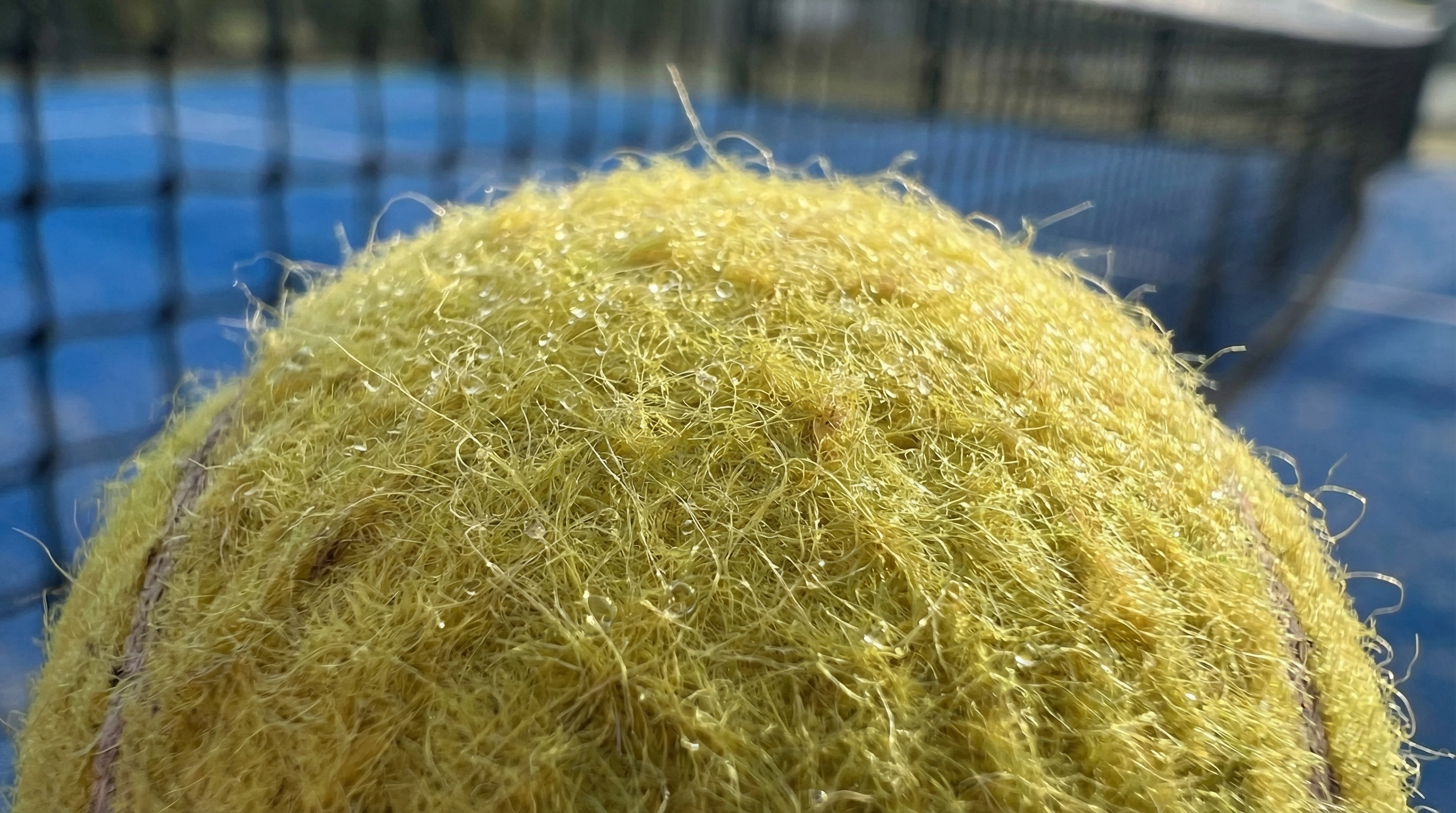 macro texture shot
