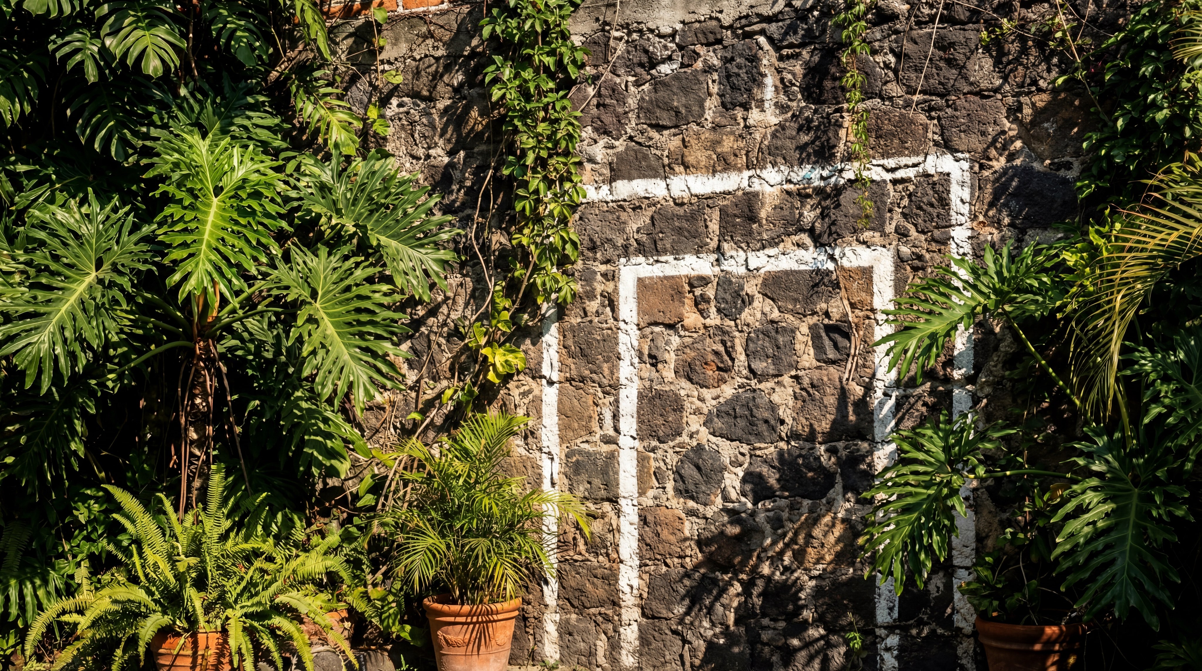 mexican tropical backyard stone wall