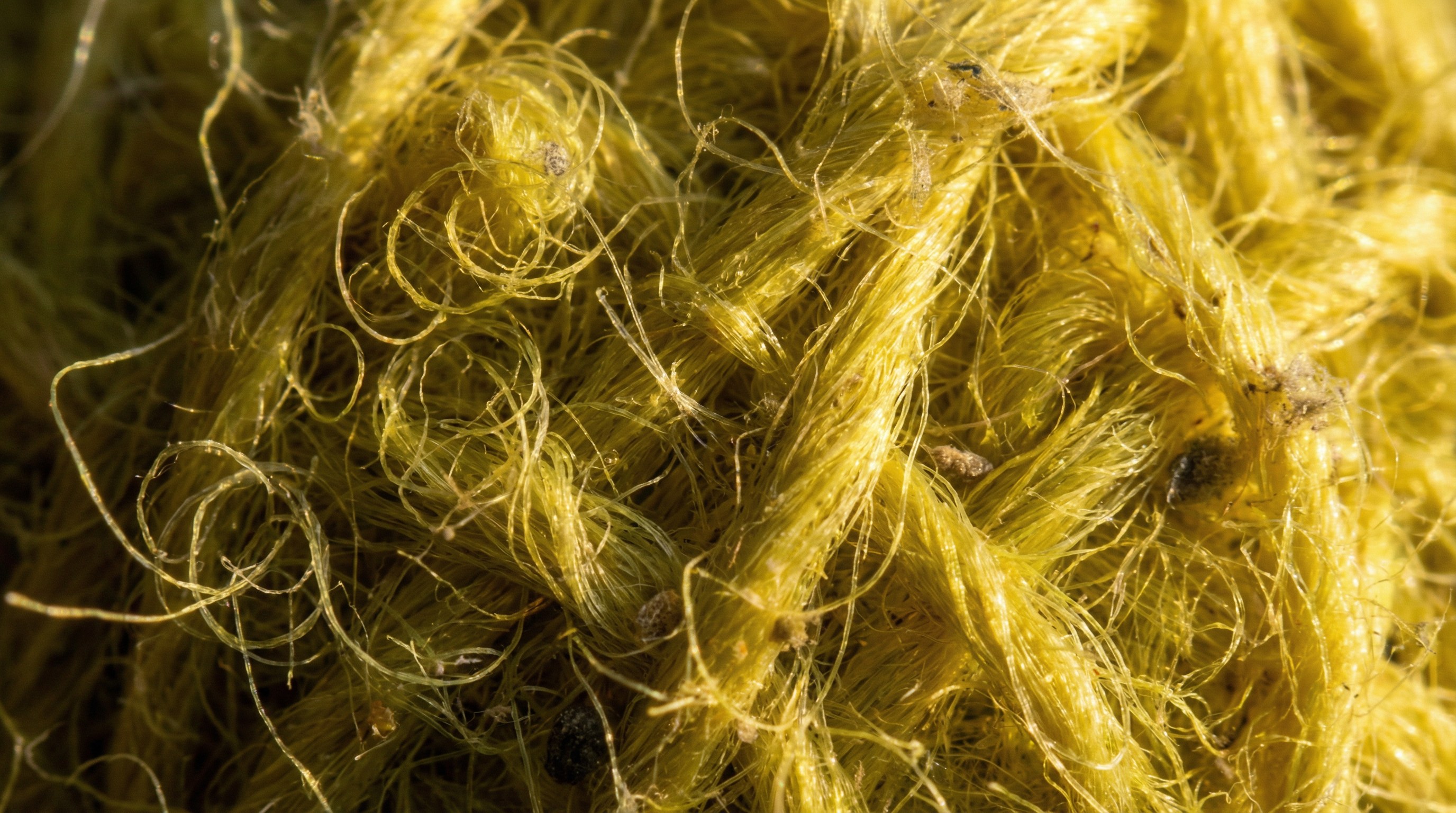 Microscopic photorealistic view of the yellow felt fibers of a padel ball, showing the intricate weave of wool and nylon.