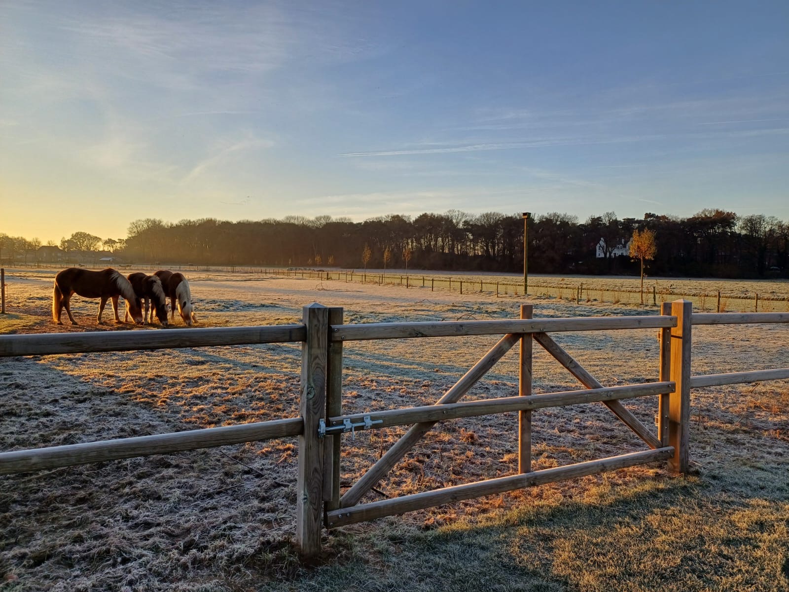 Vakmanschap in houtbewerking