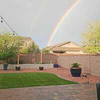 Featured Project Phoenix