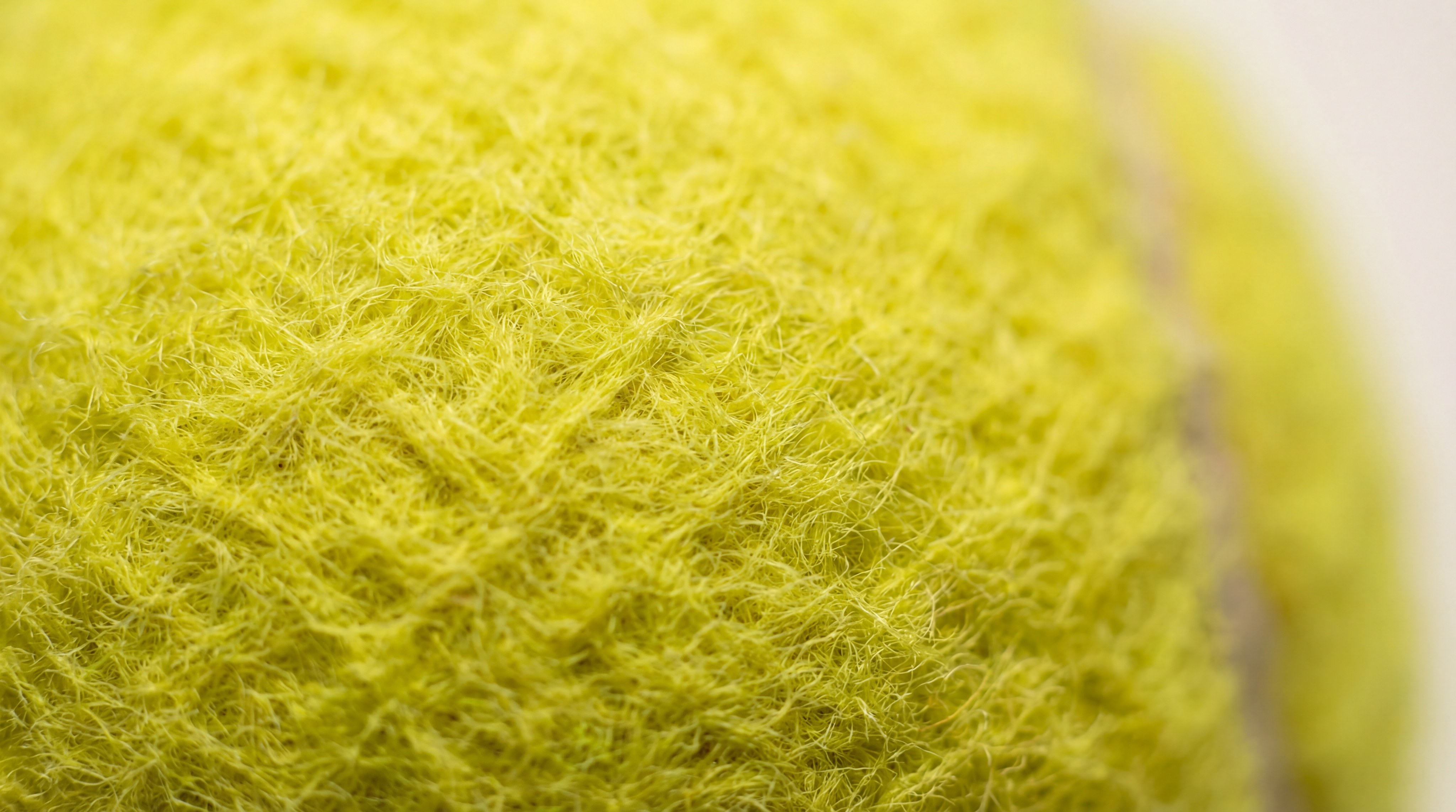 padel ball macro photography