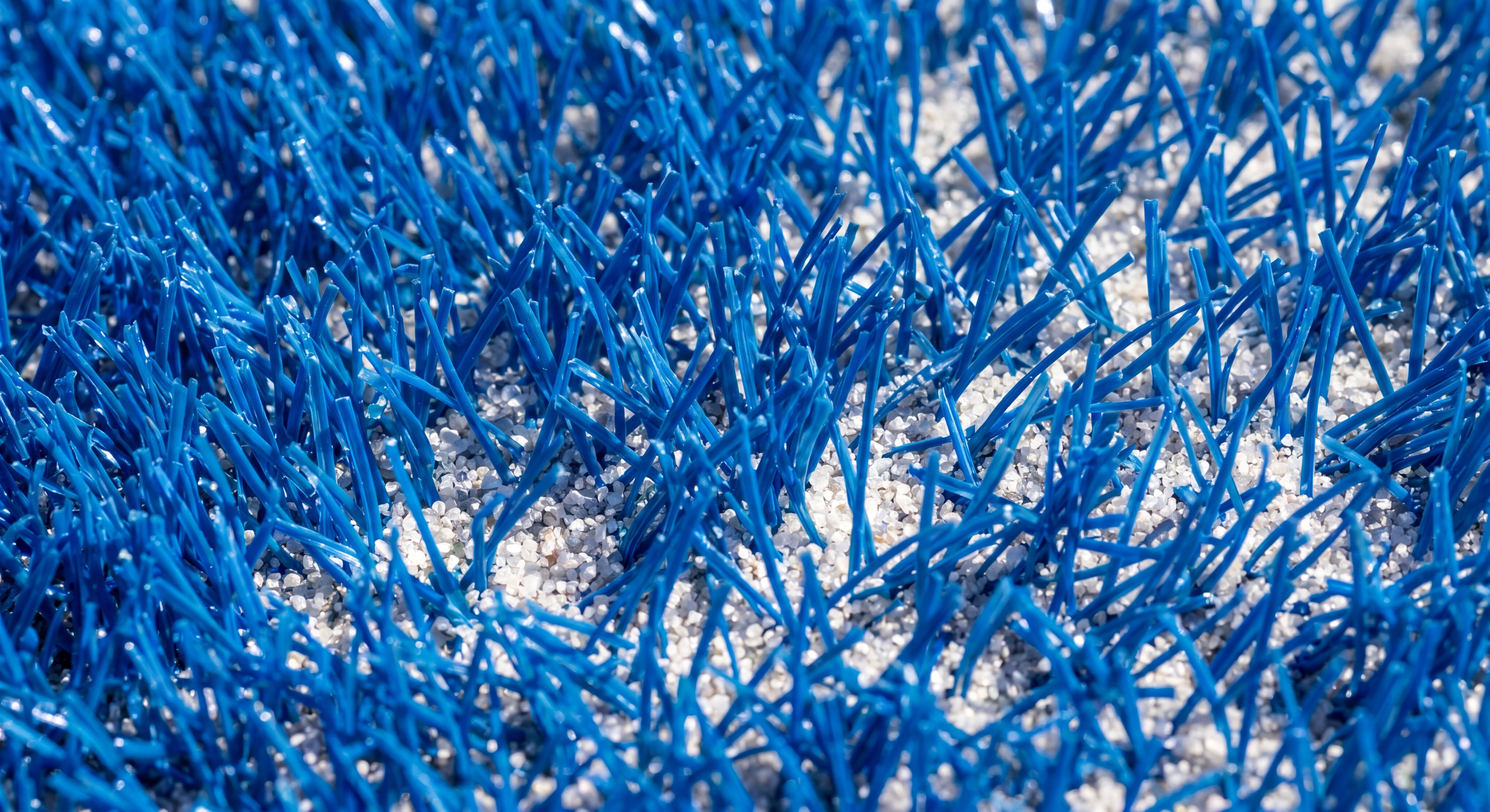 Turf closeup