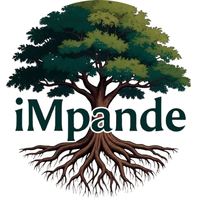 iMpande Logo