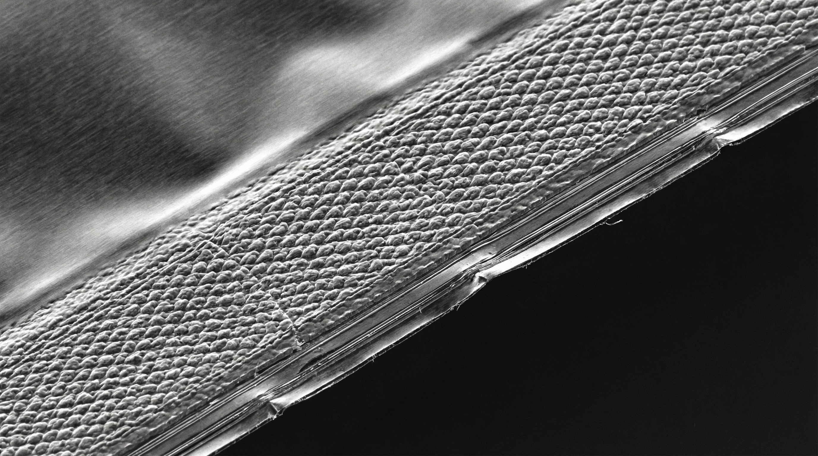 Why does the sealing mechanism affect oxygen levels