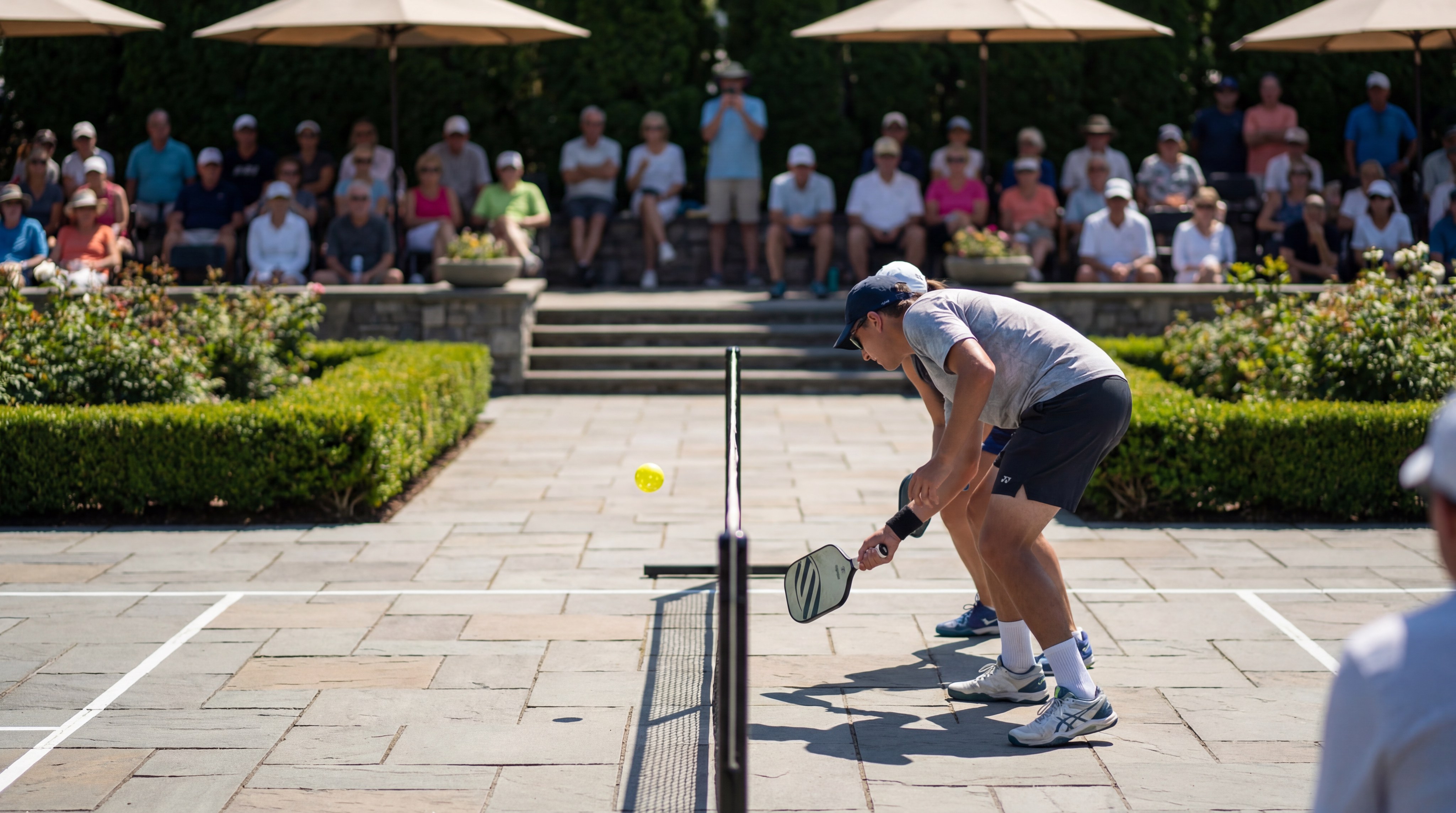Pickleball dink shot action