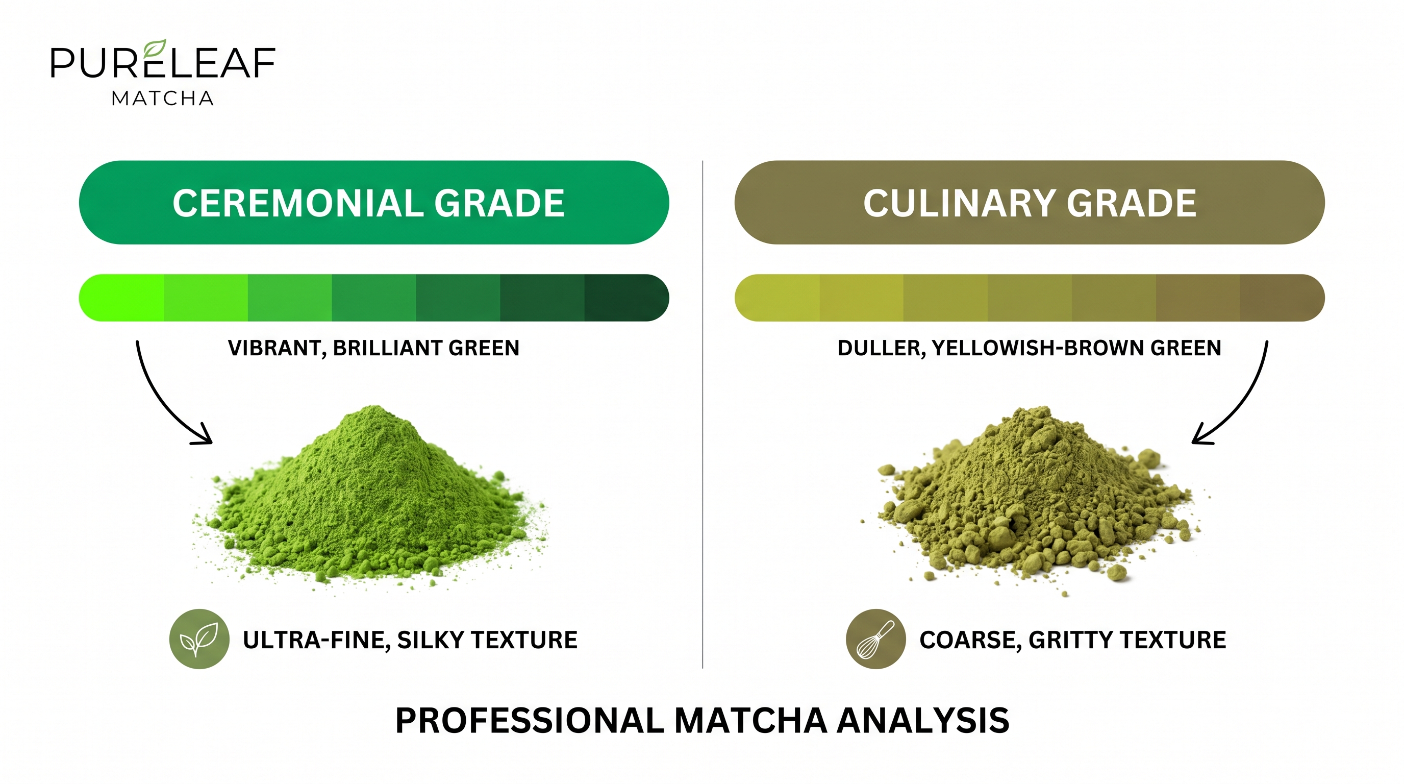 matcha_grade_comparison_infographic_index_1.jpeg