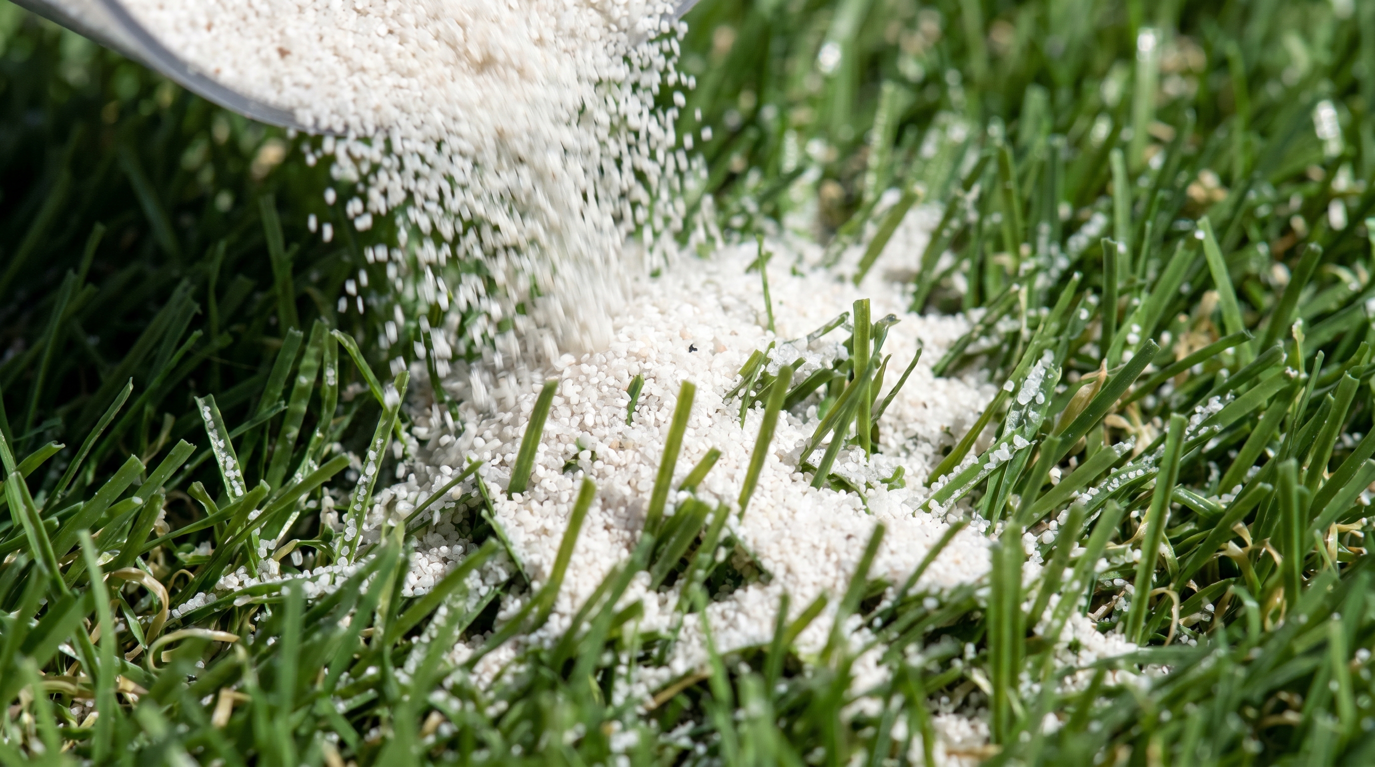 macro sand turf texture index 4.jpeg