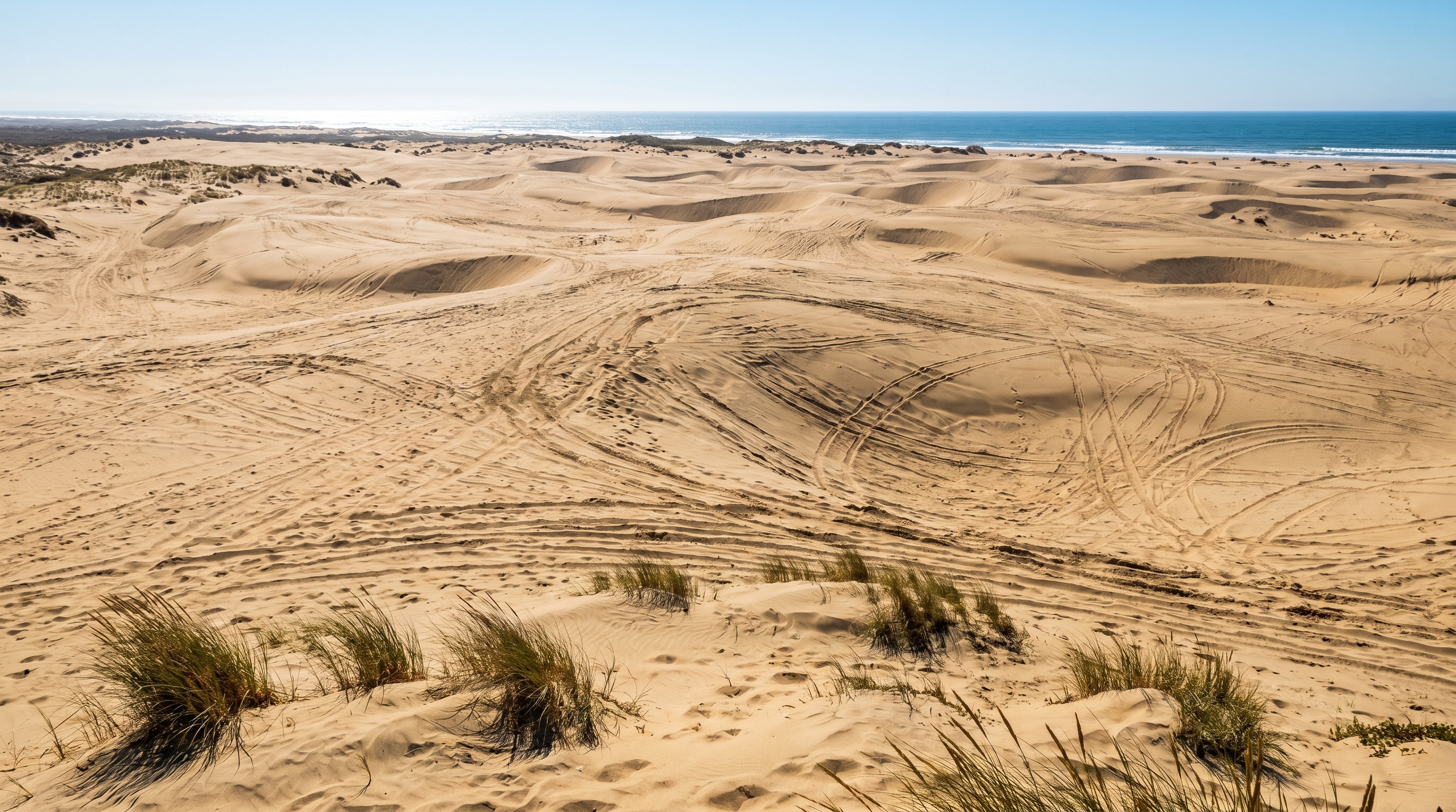 Oceano Dunes landscape