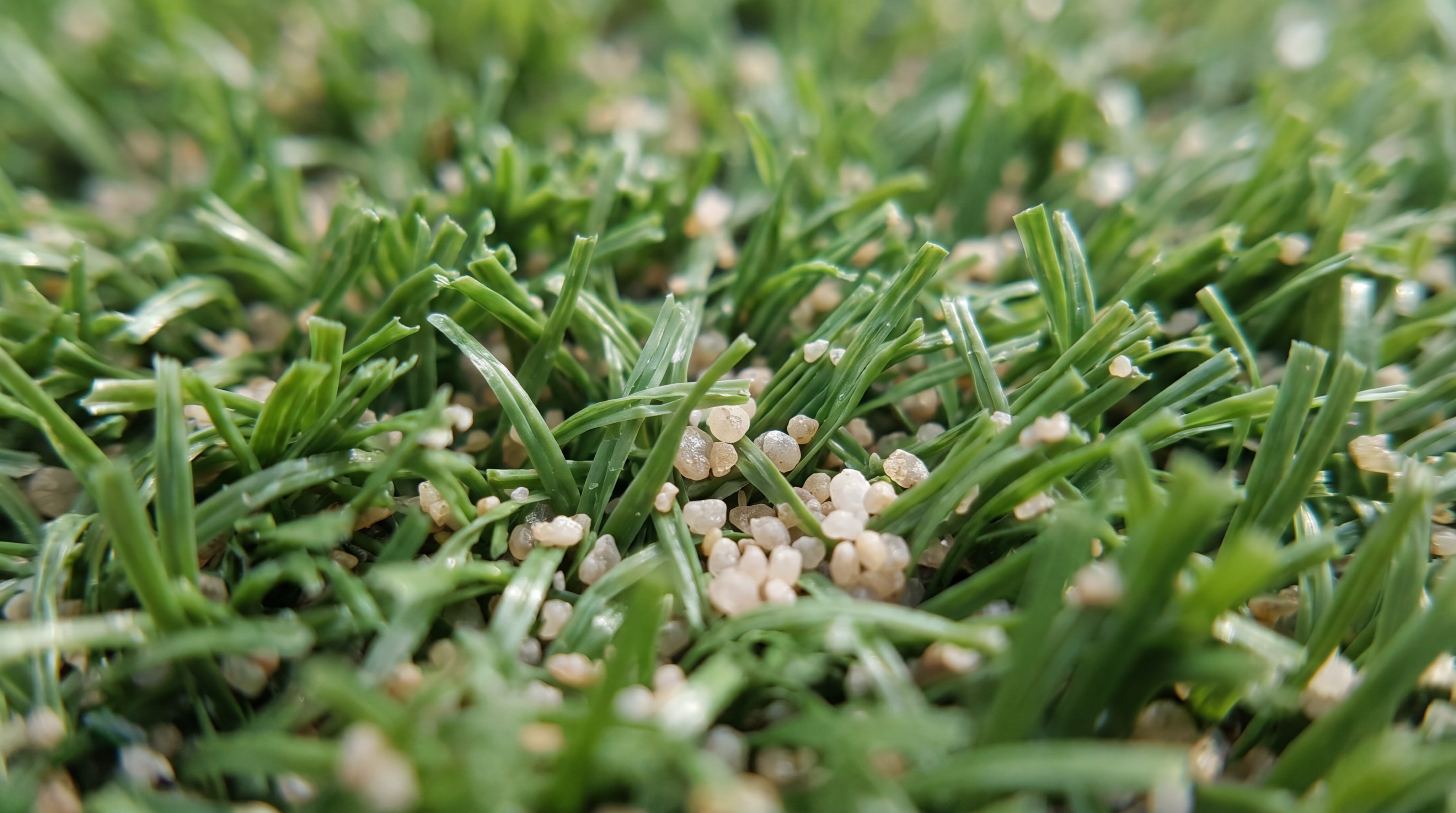 Turf Macro